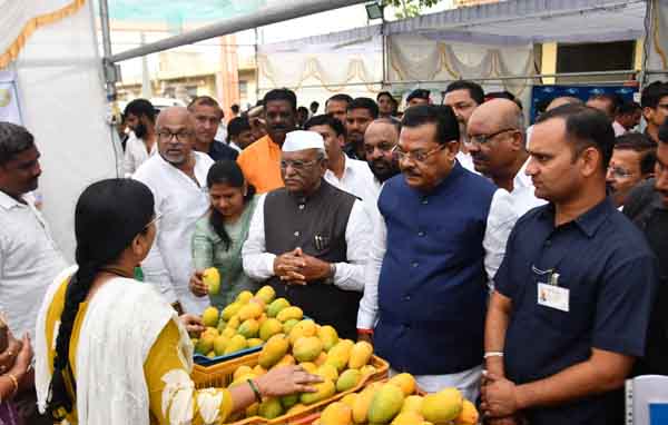 जाधववाडीत बाजार समितीच्या आंबा-मिलेट महोत्सवाचे उद्घाटन; राज्यपाल हरिभाऊ बागडे म्हणाले…