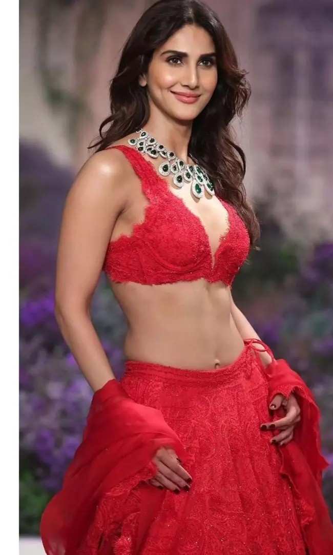 138772-vaanikapoorhotvibesinred3 (1)