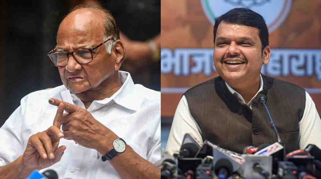 विश्लेषण : ‘मराठा’नंतर आता महाराष्ट्रात ‘ओबीसी’ राजकारण; शरद पवार यांनी केली मोठी तयारी, भाजपचा खेळ बिघडवतील?