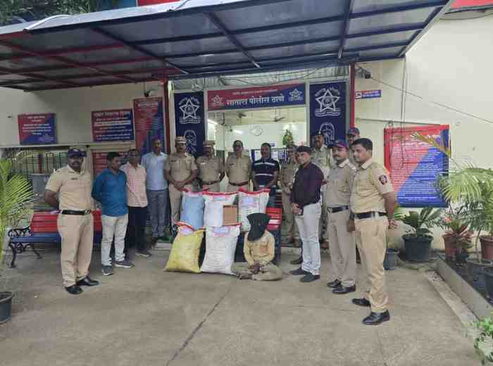 सातारा पोलिसांची मोठी कामगिरी : ६ लाखांचा गांजा साठा जप्त, तस्कराच्या मुसक्या आवळल्या, साथीदार फरारी