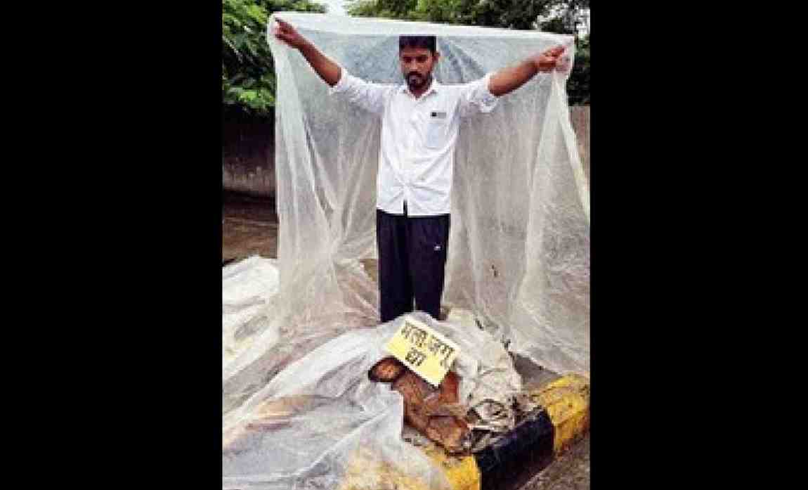 छ. संभाजीनगर जिल्ह्यात लम्पी आजाराची साथ, पशुसंवर्धन विभाग झोपा काढण्यात गुंग, संतप्त शेतकऱ्याने आजारी गाय आणली जिल्हाधिकारी कार्यालयात