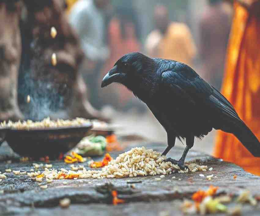 Adhyatm : पितृ दोष किती पिढ्यांपर्यंत टिकतो, गरुड पुराणातील उपाय जाणून घ्या...