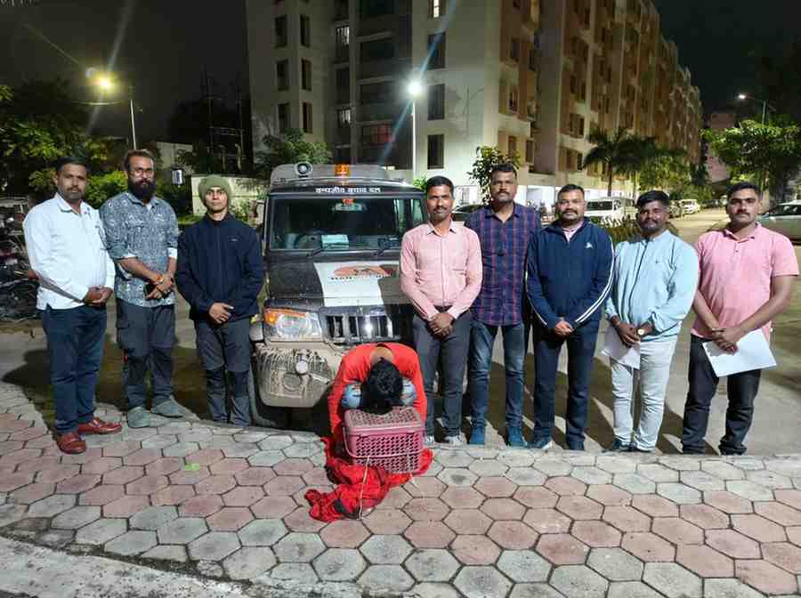 पहाडसिंगपुऱ्यात पोलिसांनी सापळा रचून मांडूळ तस्कराच्या आवळल्या मुसक्या!; बास्केटमध्ये आढळले अडीच फुटांचे मांडूळ!!