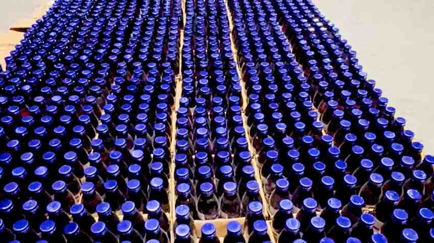 WhatsAppImage2025-09-14at8.14.14AM