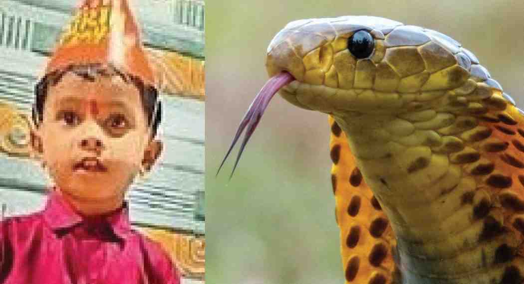 अंगणात खेळणाऱ्या चिमुकलीचा सर्पदंशाने मृत्यू, कन्नडच्या हतनूरमध्ये हळहळ