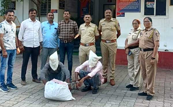 बाबा पेट्रोलपंपाजवळील ट्रॅव्हल्स पार्किंगमध्ये गांजाचा मोठा साठा जप्त, दोन तस्करांच्या मुसक्या आवळल्या