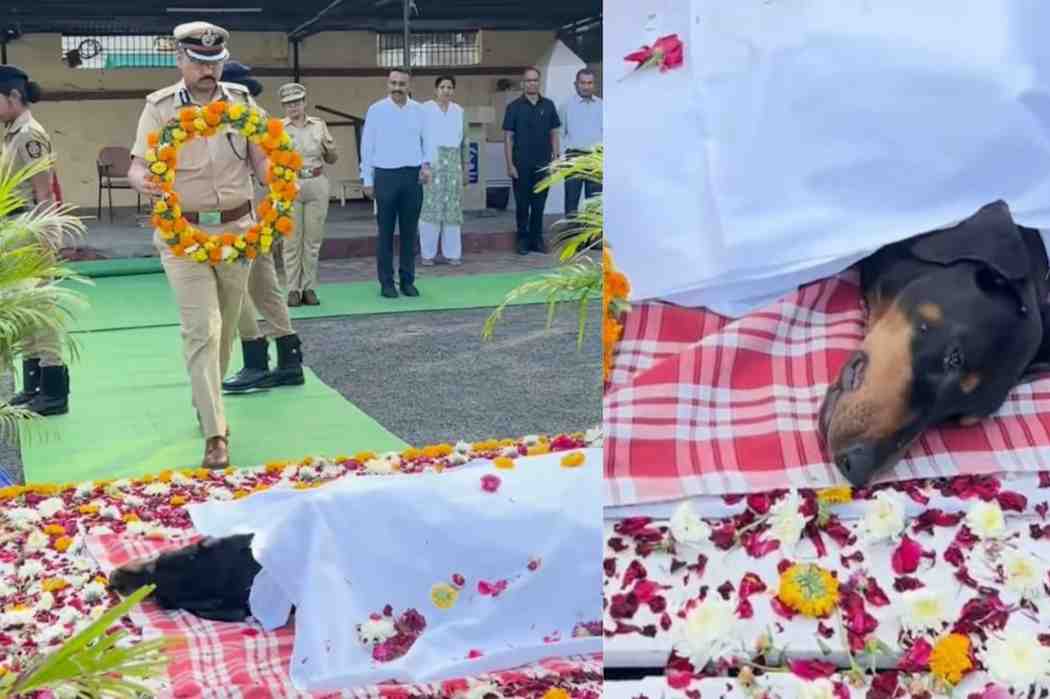 लाडकी, कर्तव्‍यदक्ष ‘स्विटी’ गेली, छत्रपती संभाजीनगरचे अवघे शहर पोलीस दल हळहळले!, पहा शेवटच्या क्षणांचा व्हिडीओ...