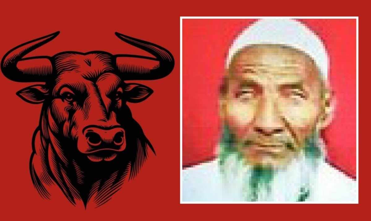 हुंदडत वळू आला, शिंगावर उचलून फेकले, ६५ वर्षीय वृद्धाचा जागीच मृत्यू, तुर्काबाद खराडीची घटना