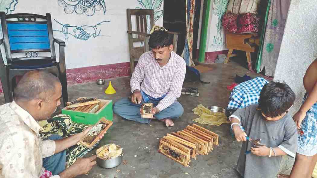 CmSkMzNiKPxZxQZxJVRm