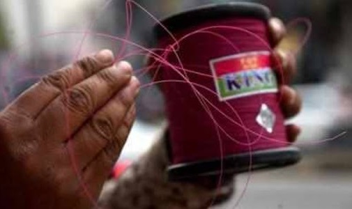 नायलॉन मांजा विकणाऱ्या २२ वर्षीय क्रूरकर्म्याला अटक!, वेदांतनगर पोलिसांची पद्‌मपुऱ्यात कारवाई