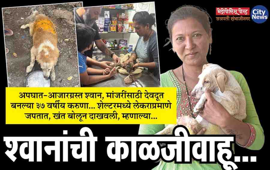 श्वानांची काळजीवाहू... अपघात-आजारग्रस्त श्वान, मांजरींसाठी देवदूत बनल्या ३७ वर्षीय करुणा... शेल्टरमध्ये लेकराप्रमाणे जपतात, खंत बोलून दाखवली, म्हणाल्या...