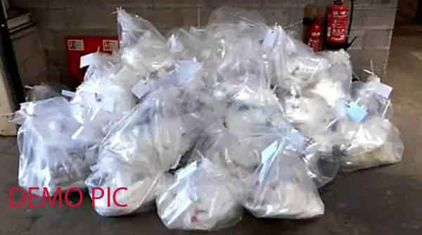 कैलासनगरात एमडी ड्रग्ज पकडले, २ तस्करांना अटक, शहर गुन्हे शाखेची २ लाखांची कारवाई