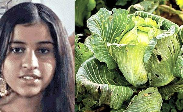 पत्ता कोबीतील किड्याने १८ वर्षीय मुलीचा मृत्यू!, डॉक्टरांनी सांगितले की हा किडा मेंदूत कसा प्रवेश करतो अन्‌ तो कसा रोखायचा...