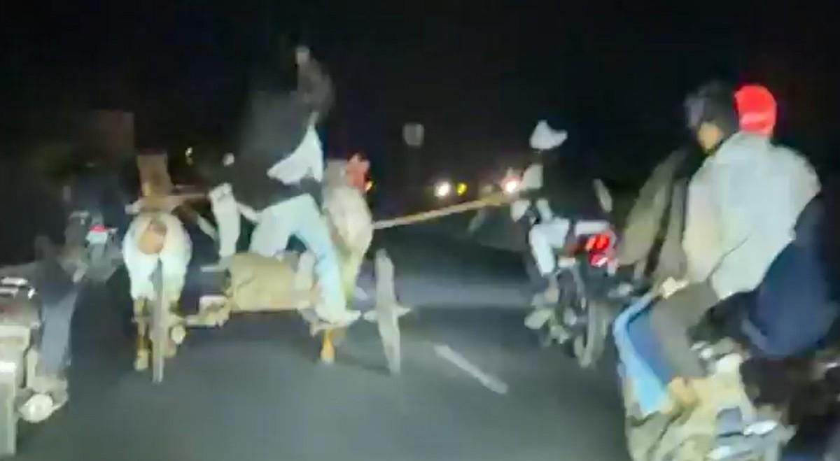 संतापजनक... जळगाव रोडवर आळंदजवळ तरुणांची हुल्लडबाजी, बैलाला निर्दयीपणे मारत पळवत होते... व्हिडीओ पाहून तुमचा संताप अनावर होईल...