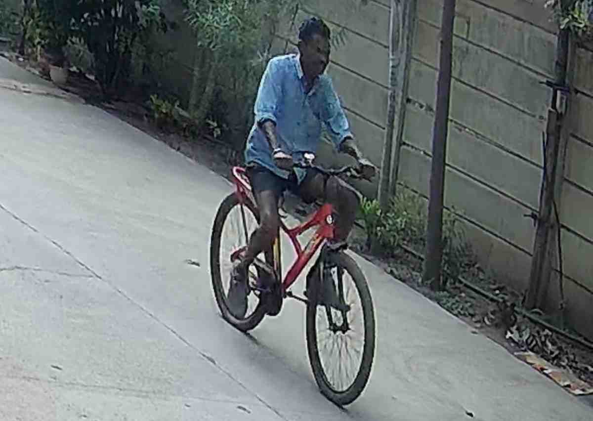 असा आला, असा निघून गेला...CCTV मध्ये हा कोण दिसला?, वाळूज महानगरातील घटना