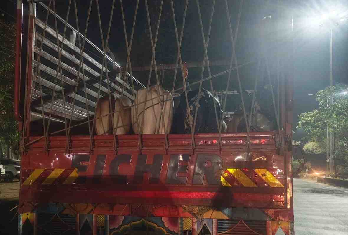 बैल कत्तलीसाठी नेले जात असल्याचा संशय, वाळूज MIDC मध्ये ट्रक अडवून चालकासह चौघांना बेदम मारहाण