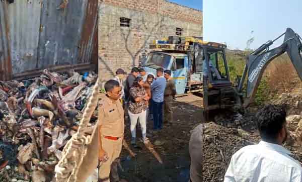 मोठी कारवाई : फुलंब्री शहरात ६ गायींची कत्तल, ८ गायींना वाचवले!; छत्रपती संभाजीनगरहून पोलिसांची टीम गेली, फुलंब्री पोलिसांना दाखवला ‘आरसा’!!