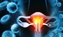 ‘गर्भाशयाच्या मुखाचा कर्करोग मुक्त महाराष्ट्र’ अभियानात छत्रपती संभाजीनगर जिल्ह्याचा समावेश, २४५० एचपीव्ही लसी मिळणार