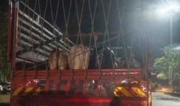 बैल कत्तलीसाठी नेले जात असल्याचा संशय, वाळूज MIDC मध्ये ट्रक अडवून चालकासह चौघांना बेदम मारहाण