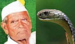 पिकाला पाणी देताना साप चावल्याने शेतकऱ्याचा मृत्यू, कन्नड तालुक्यातील दुर्दैवी घटना