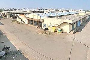 बंदमुळे जाधववाडी बाजार समितीतील ६ कोटींची उलाढाल ठप्प!