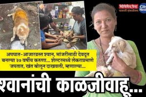 श्वानांची काळजीवाहू... अपघात-आजारग्रस्त श्वान, मांजरींसाठी देवदूत बनल्या ३७ वर्षीय करुणा... शेल्टरमध्ये लेकराप्रमाणे जपतात, खंत बोलून दाखवली, म्हणाल्या...