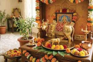 Jyotish : घरात गायीची मूर्ती कोणत्या दिशेने ठेवावी? अशा प्रकारे मूर्ती ठेवल्याने जीवनात आनंद आणि समृद्धी येईल...